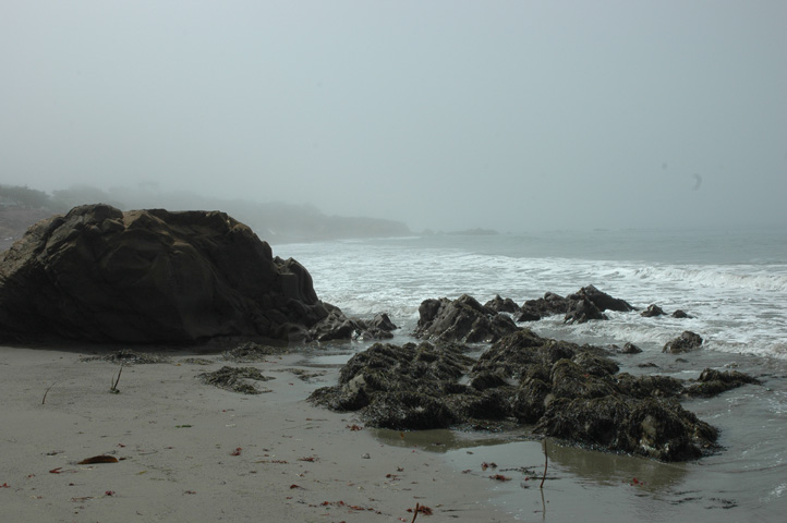 Moonstone Beach 028.jpg
